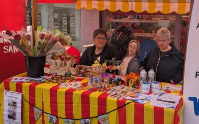 Sant Jordi 2025