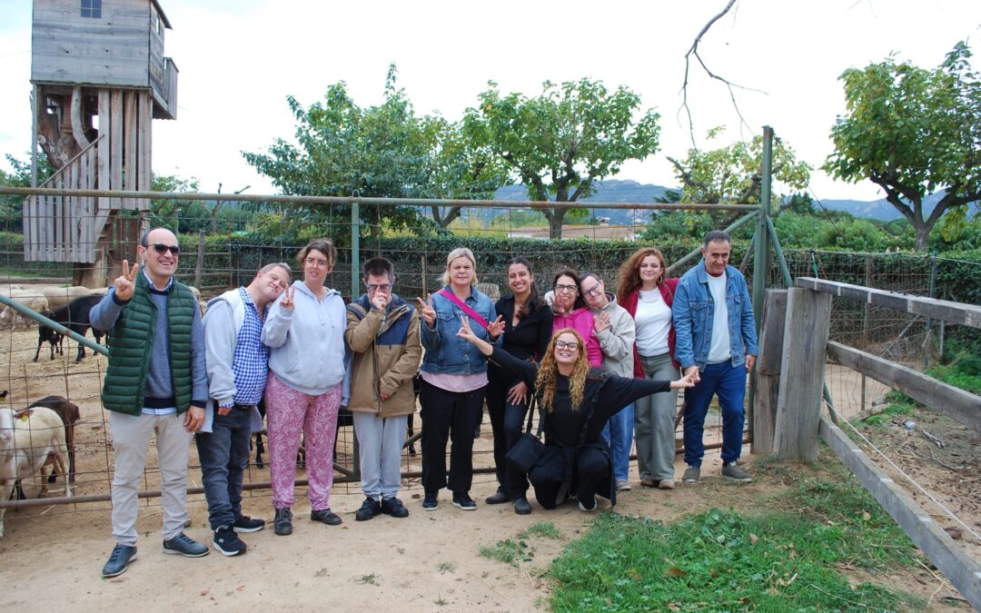 Activitats realitzades novembre 2024