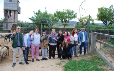 Activitats realitzades novembre 2024